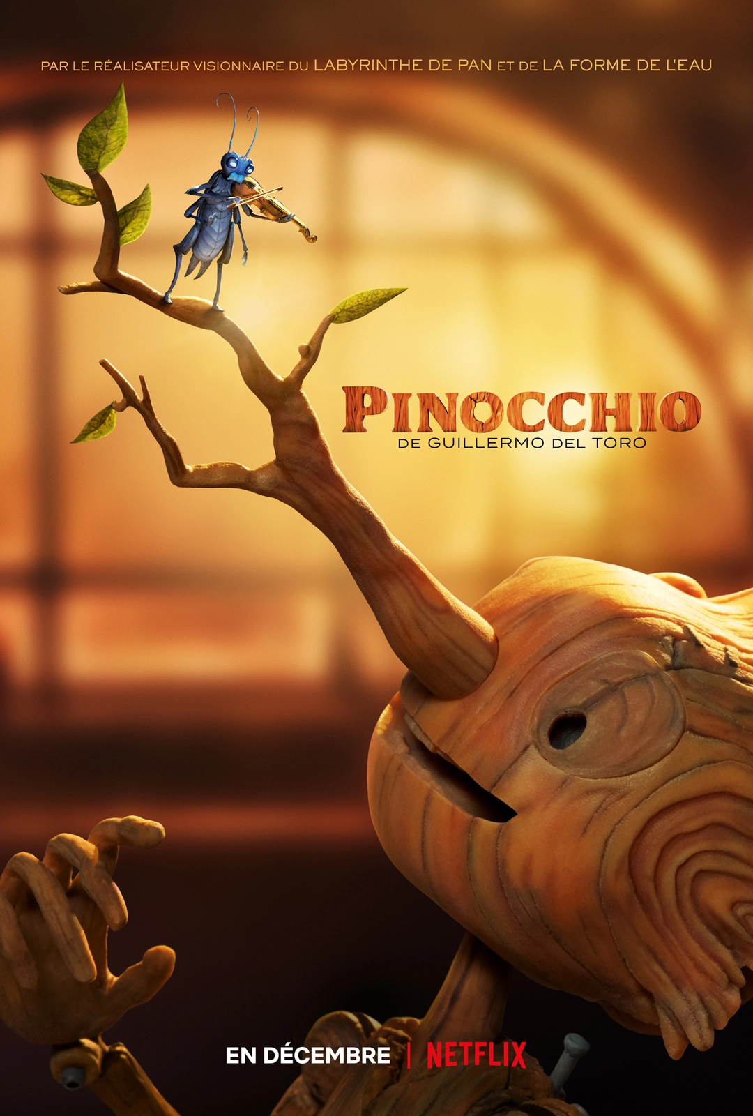 Affiche du film Pinocchio